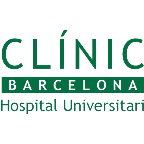 Logo 13